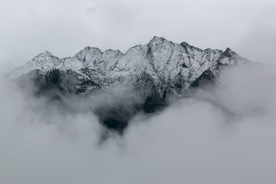 산지애 사과