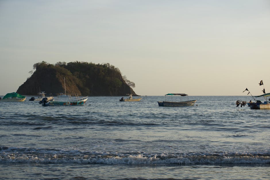 제주도스타벅스