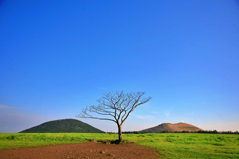 제주특산품