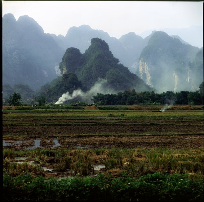 화담숲