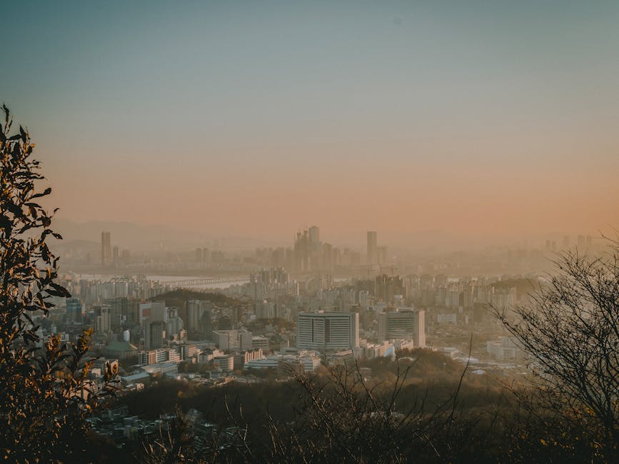 서울구경