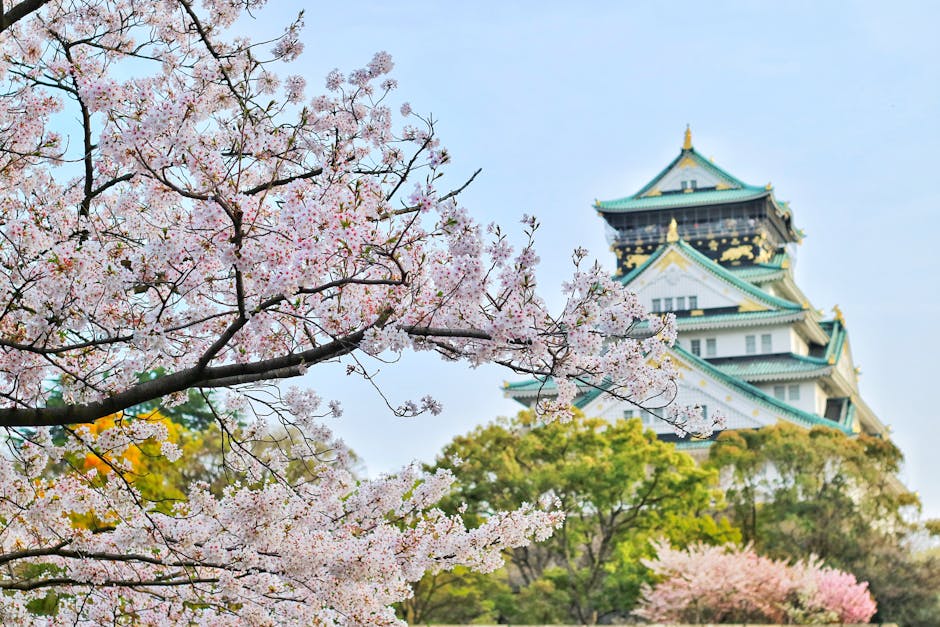 일본입국