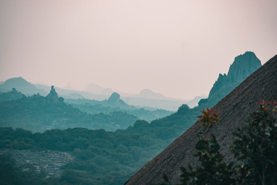 구례산수유마을