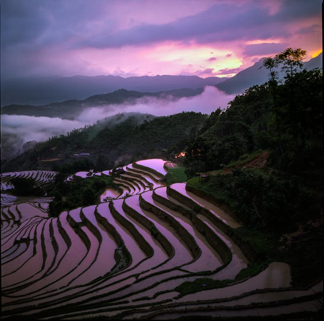 화담숲모노레일